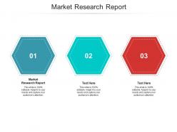 Market research report ppt powerpoint presentation portfolio show cpb