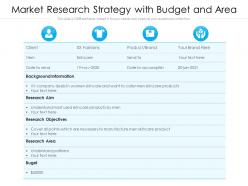 Market Research Strategy With Budget And Area