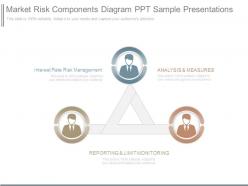 Market Risk Components Diagram Ppt Sample Presentations