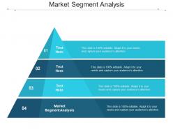 Market segment analysis ppt powerpoint presentation infographic template slide download cpb