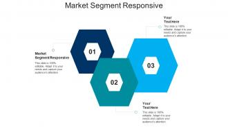 Market segment responsive ppt powerpoint presentation icon design inspiration cpb