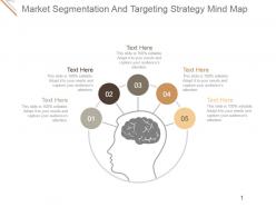 Market Segmentation And Targeting Strategy Mind Map Ppt Ideas