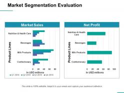 Market segmentation evaluation ppt professional graphics design