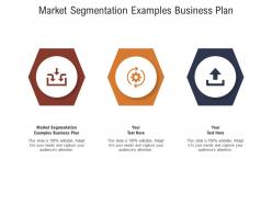 Market segmentation examples business plan ppt powerpoint presentation infographic template example 2015 cpb