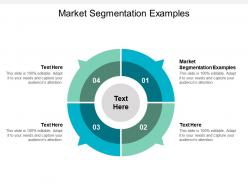 Market segmentation examples ppt powerpoint presentation infographic template format cpb
