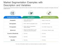 Market segmentation examples with description and variables