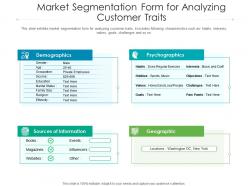 Market segmentation form for analyzing customer traits