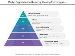 Market Segmentation Hierarchy Showing Psychological Safety Esteem