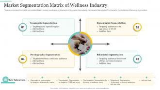 Market Segmentation Matrix Of Wellness Industry