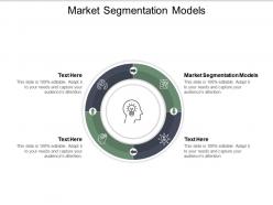 Market segmentation models ppt powerpoint presentation icon slide download cpb