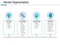 Market segmentation ppt portfolio professional