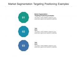 Market segmentation targeting positioning examples ppt powerpoint presentation infographic template templates cpb