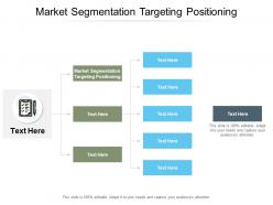 Market segmentation targeting positioning ppt powerpoint presentation summary mockup cpb