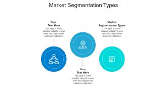 Market segmentation types ppt powerpoint presentation icon styles cpb