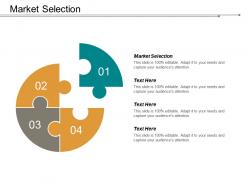 Market selection ppt powerpoint presentation file infographics cpb