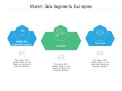 Market size segments examples ppt powerpoint presentation icon display cpb