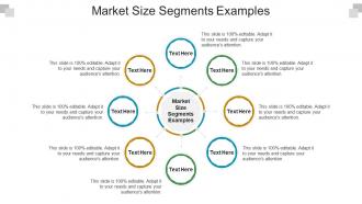 Market size segments examples ppt powerpoint presentation model example file cpb