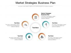 Market strategies business plan ppt powerpoint presentation icon cpb