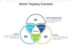 Market targeting examples ppt powerpoint presentation inspiration microsoft cpb
