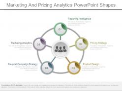 Marketing And Pricing Analytics Powerpoint Shapes