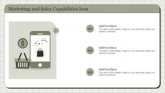 Marketing And Sales Capabilities Icon