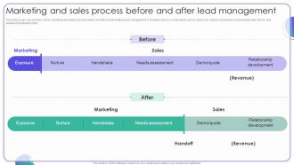 Marketing And Sales Process Before And Strategies For Managing Client Leads