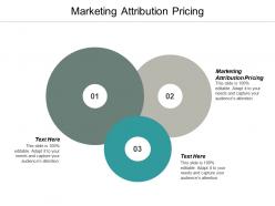 Marketing attribution pricing ppt powerpoint presentation ideas format ideas cpb