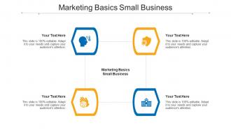 Marketing Basics Small Business Ppt Powerpoint Presentation Templates Cpb