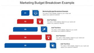 Marketing Budget Breakdown Example Ppt Powerpoint Presentation Layouts Layout Cpb