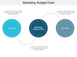 Marketing budget chart ppt powerpoint presentation portfolio outline cpb