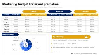 Marketing Budget For Brand Promotion Branding Rollout Plan Ppt Model Skills