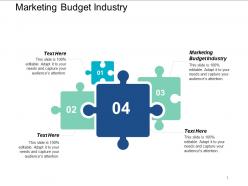 Marketing budget industry ppt powerpoint presentation styles icon cpb