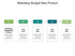 Marketing budget new product ppt powerpoint presentation outline grid cpb