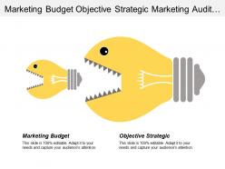 Marketing budget objective strategic marketing audit medical community
