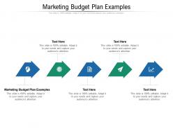 Marketing budget plan examples ppt powerpoint presentation layouts layout cpb