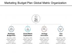 Marketing budget plan global matrix organization strategy innovation cpb
