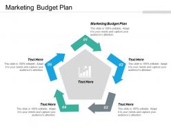 Marketing budget plan ppt powerpoint presentation layouts graphics cpb