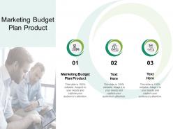 Marketing budget plan product ppt powerpoint presentation gallery slides cpb