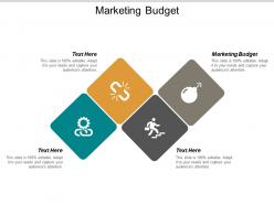 Marketing budget ppt powerpoint presentation styles guide cpb