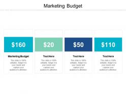 Marketing budget ppt powerpoint presentation summary structure cpb