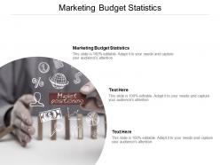 Marketing budget statistics ppt powerpoint presentation inspiration maker cpb