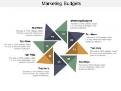 Marketing budgets ppt powerpoint presentation outline background cpb