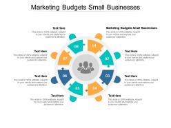 Marketing budgets small businesses ppt powerpoint presentation icon influencers cpb