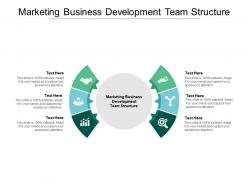 Marketing business development team structure ppt powerpoint file objects cpb