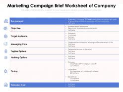Marketing campaign brief worksheet of company