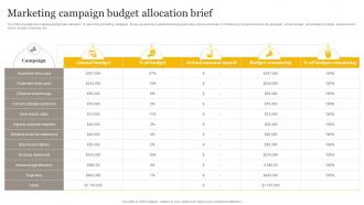 Marketing Campaign Budget Allocation Brief