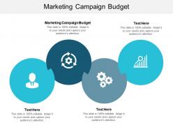 Marketing campaign budget ppt powerpoint presentation portfolio show cpb