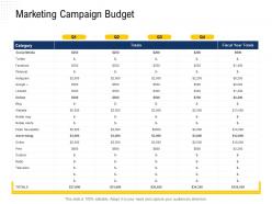 Marketing Campaign Budget Television Ppt Powerpoint Presentation Gallery Outfit
