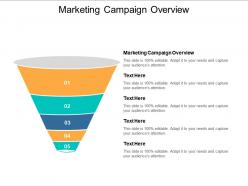 Marketing campaign overview ppt powerpoint presentation infographics outfit cpb
