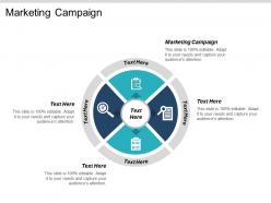 Marketing campaign ppt powerpoint presentation gallery ideas cpb